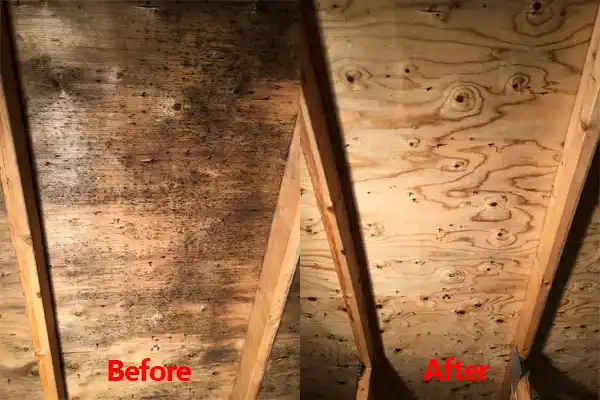 water damage restoration service Brimfield